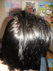 DSCF1384