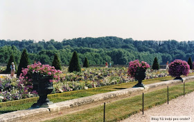 Palácio de Versalhes - França