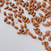 The Importance of Protein in Your Diet for Building Muscle