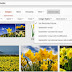 Google Image Search makes it easier to type results by licensing rights