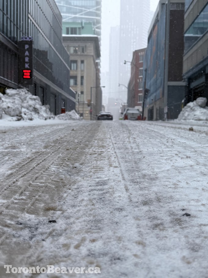 Snowy Pearl Street... A Beaver's Perspective