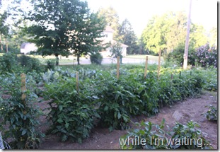 2011 Jul 16_0383 2011 Jul 16_0383