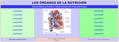 http://www.ceiploreto.es/sugerencias/cplosangeles.juntaextremadura.net/web/curso_4/naturales_4/nutricion/indice.htm