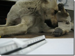 IMG_0703 IMG_0703
