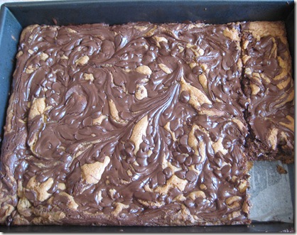 Chocolate Swirl squares4