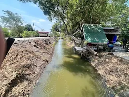 หน้าที่ดินเลียบขนานกับคลองโยธา ลาดหลุมแก้ว ปทุมธานี