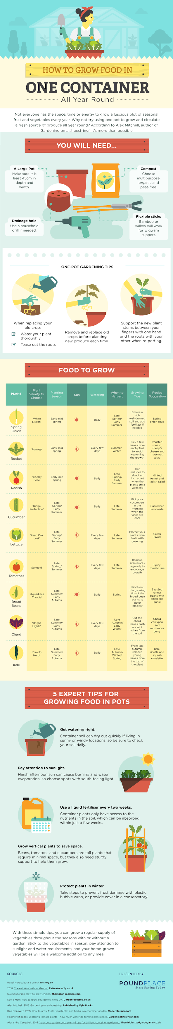 http://www.thegreenfamilia.com/wp-content/uploads/2016/11/How-to-grow-food-in-one-container-all-year-round.png