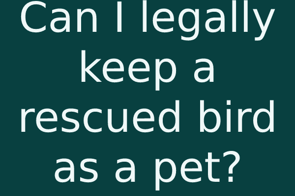 Can I legally keep a rescued bird as a pet?