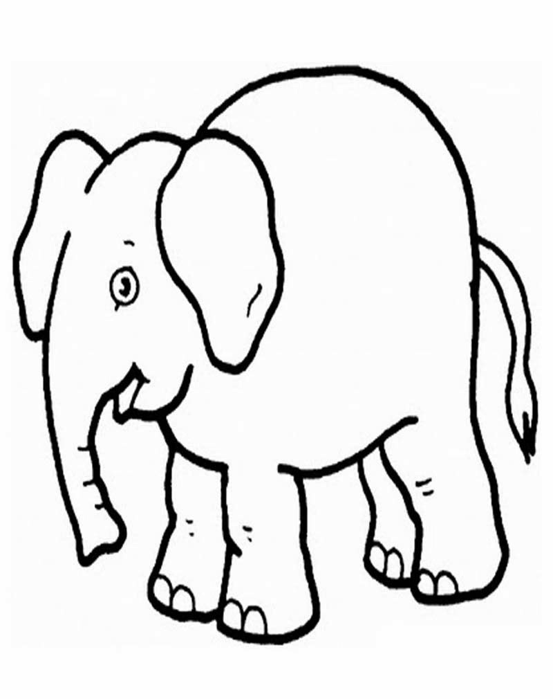  Gambar  Mewarnai Gajah 