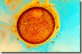In-vitro-fertilisation
