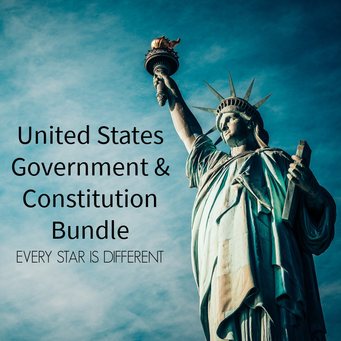 United States Government and Constitution Bundle