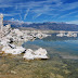 Etats-Unis - le lac Mono, un enfer grouillant de vie, Californie