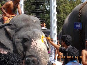 Decorating the forehead of a competing elephant in "GURUVAYUR ANAYOTTAM"