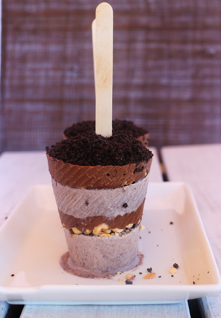 popsicles, helados-de-oreo-y-nutella, oreo-nutella-icecream