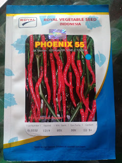 cabe keriting phoenix