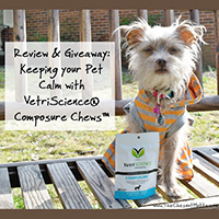 vetriscience composure chews review