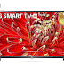 LG 43 inches Full HD Smart LED TV 43LM6360PTB