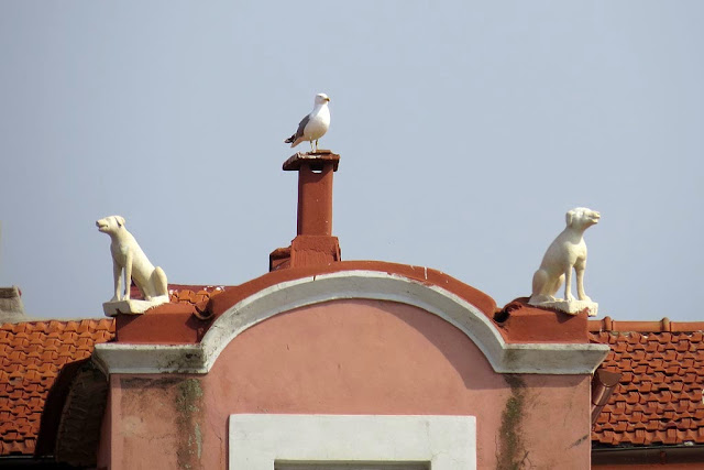 Statue di cani su un tetto più un gabbiano, scali delle Cantine, Livorno