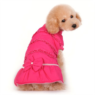 Cute Dog Clothes