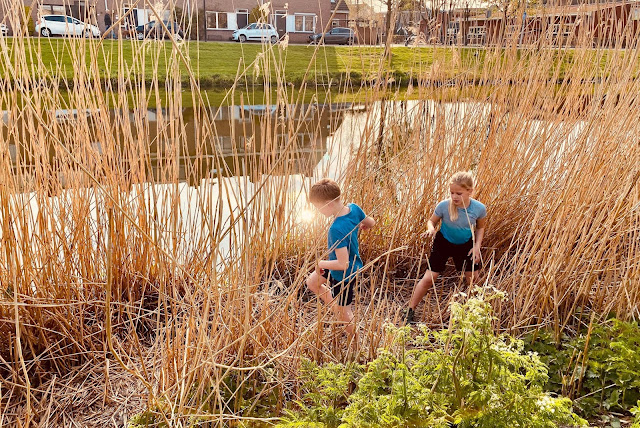 Spelen in het Riet