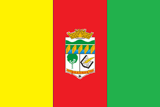 Bandeira de Braúna MG