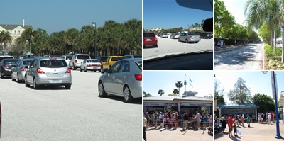 Springbreakers op weg naar SeaWorld weergegeven