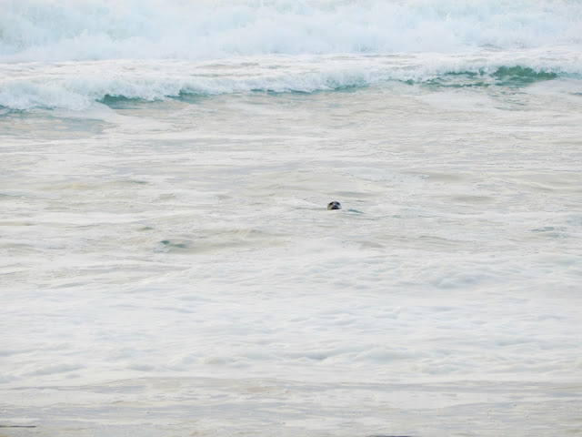 On The Beach in November // @MelissaKaylene