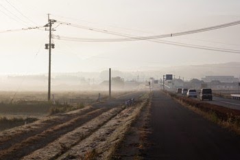 IMG_0537