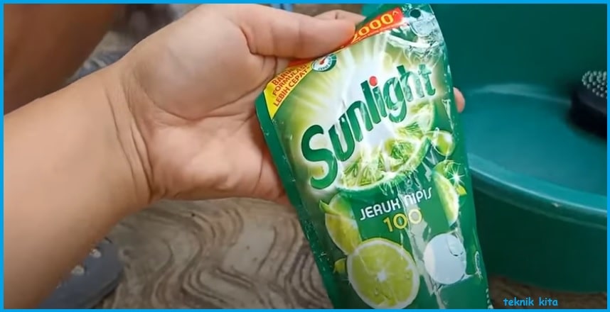 Teknik Kita: Cara menghilangkan kutu kucing dengan sunlight efektif