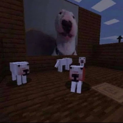 Cursed Dog Pictures