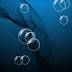 Beautiful Real Bubble Free Live Wallpaper For Android