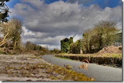 14-DSC_0295