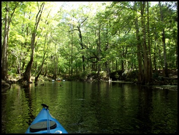 kayaking the Ichtucknee 051