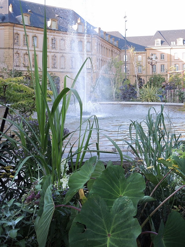 Metz: rust en schoonheid in de  "jardin d'été éphémère - l'arbre du monde"