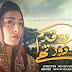 Do Qadam Door Thay OST - HD Title Song New Drama GeoTv [2014]