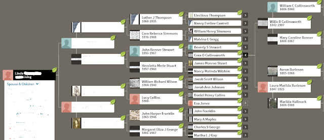 Family Tree at Ancestry.com