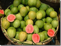 Jambu batu - Psidium guajava - jambu biji - jambu siki - jambu klutuk