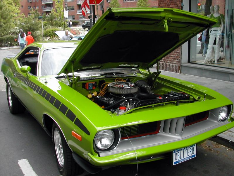 Barracudamuitos lindos verdadeiramente carros de colecionadores