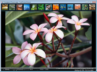 FastPictureViewer 1.9 Build 299 Free Download