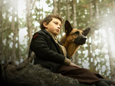 Shepherd The Story Of A Hero Dog New On Dvd And Bluray