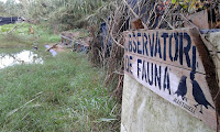 Observatori de fauna de Martorell