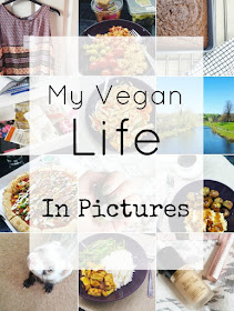 My Vegan Life - That Lisa Clare