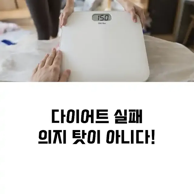 다이어트 실패 이유, 의외로 흔한 5가지 실수