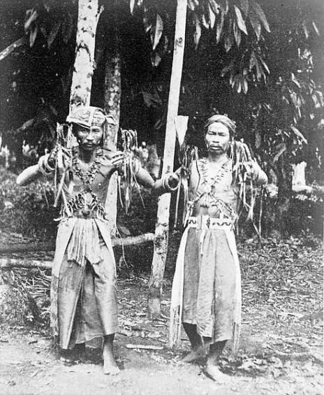 The Dayak Head Hunter from Kalimantan In Search of the 