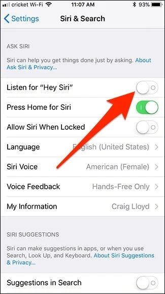 formazione vocale per Siri