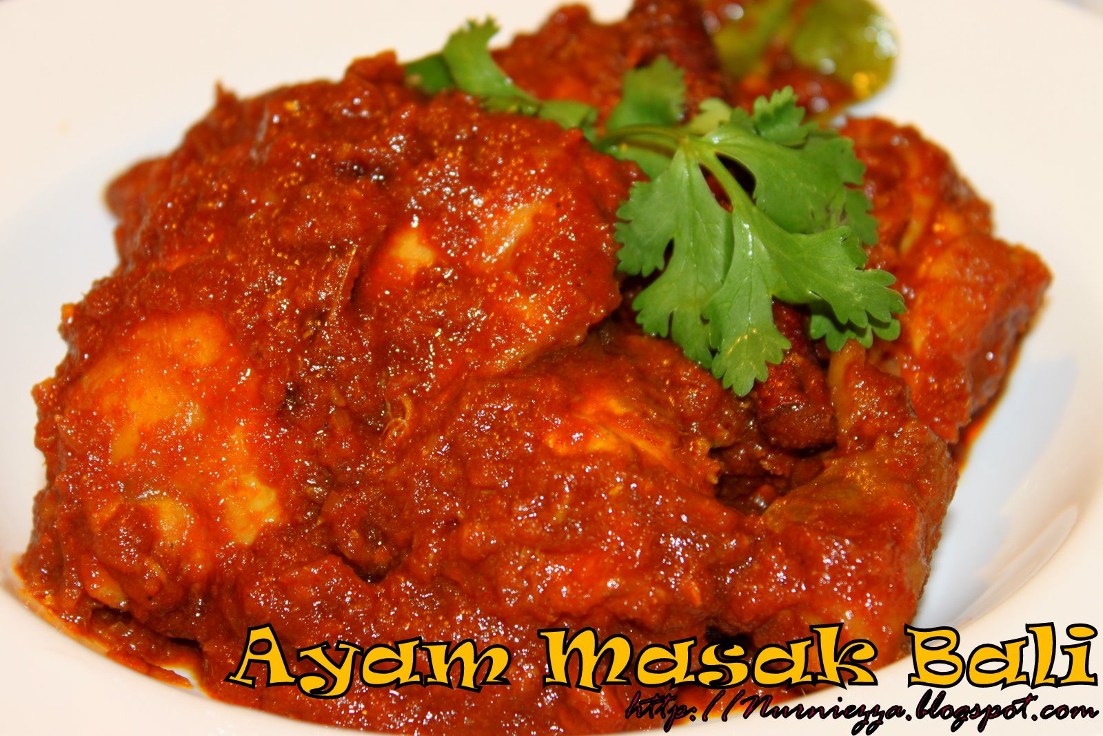 Our Journey Begins: Ayam Masak Bali