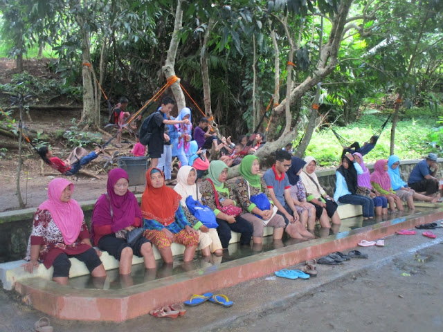 terapi ikan umbul naga