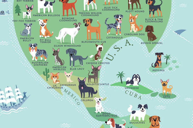 El mapa de Los perros del mundo que es viral en las redes sociales