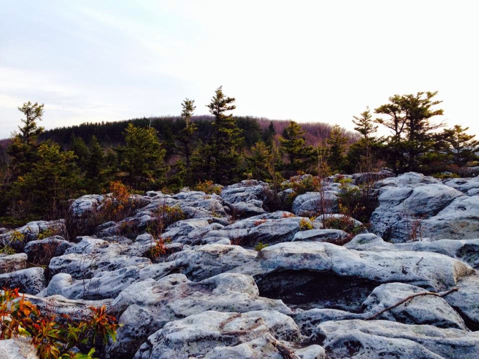The Appalachian Pineapple: A Photo Montage: Backpacking in Dolly Sods! - Dolly+soDs