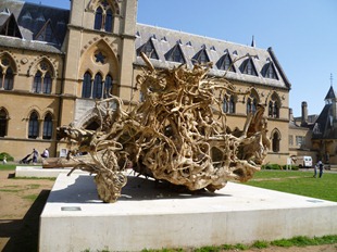 P1010526